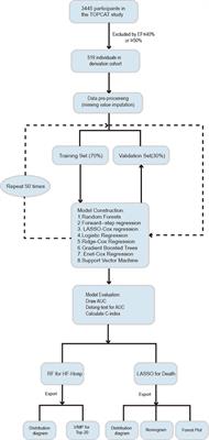 Machine learning models in heart failure with mildly reduced ejection fraction patients